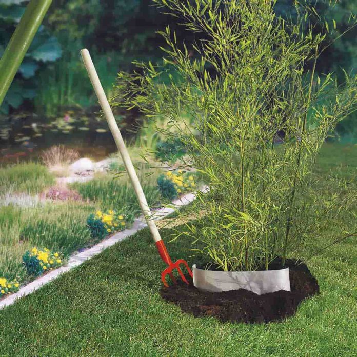 barrière piscine bambou découvrez notre élégante barrière en bambou pour piscine, alliant sécurité et esthétique. protégez votre espace aquatique tout en ajoutant une touche naturelle à votre jardin. idéale pour les familles, cette barrière durable est à la fois pratique et design.
