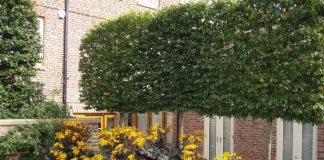 Cacher une pompe à chaleur : Les solutions esthétiques pour fondre votre équipement dans votre jardin découvrez nos astuces pratiques pour cacher votre pompe à chaleur dans le jardin. transformez votre espace extérieur en un lieu esthétique tout en préservant l'efficacité de votre système de chauffage. protégez votre équipement des intempéries et intégrez-le harmonieusement à votre décoration paysagère.