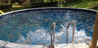 Dégraisser piscine : La solution express pour une eau toujours limpide ! découvrez nos conseils pour un dégraissage efficace de votre piscine. maintenez l'eau cristalline et prolongez la durée de vie de votre installation en éliminant les impuretés et les résidus. suivez nos étapes simples et profitez d'un espace aquatique toujours propre.