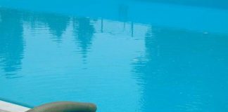 Colmatage fuite tuyau piscine : 3 solutions efficaces pour stopper les fuites sans tout démonter ! découvrez comment identifier et réparer une fuite de tuyau de piscine pour préserver l'eau et assurer un confort optimal. nos conseils pratiques vous guideront dans cette tâche essentielle.