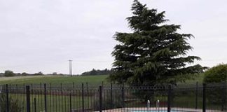 Piscine sur terrain non piscinable : Peut-on contourner la loi ? Ce que vous devez savoir ! découvrez ce qu'implique une piscine non réglementaire, ses risques potentiels et les conséquences légales. informez-vous pour assurer sécurité et conformité dans votre espace aquatique.