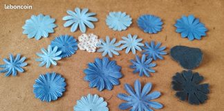 découvrez le monde inspirant du scrapbooking fleurs. ce guide vous propose des idées créatives, des techniques et des conseils pour embellir vos projets avec des motifs floraux, apportant couleur et fraîcheur à vos pages.
