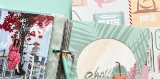découvrez notre pack de scrapbooking floral, comprenant des embellissements colorés et des designs raffinés pour donner vie à vos créations. parfait pour les passionnés de loisirs créatifs, ce pack apportera une touche naturelle et artistique à vos albums et cartes.