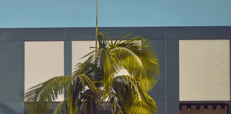 découvrez les enjeux du procès autour des nft de dolce & gabbana. un débat intrigant sur la propriété intellectuelle et l'avenir des marques dans l'univers numérique.