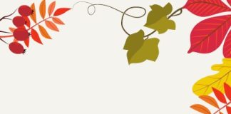 découvrez le carnet intérieur du 17 août 2025 : un espace d'expression et de réflexion pour consigner vos pensées, inspirations et projets personnels en toute liberté.