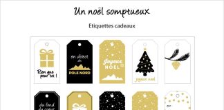 découvrez nos étiquettes-cadeaux 3d uniques qui apportent une touche originale à vos paquets. parfaites pour toutes les occasions, ces étiquettes allient créativité et élégance pour sublimer vos cadeaux. ajoutez une dimension ludique à vos surprises !