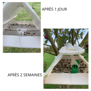 découvrez les principaux pièges du fulfillment : erreurs à éviter, conseils pour optimiser la logistique et garantir une gestion efficace de vos commandes en e-commerce.