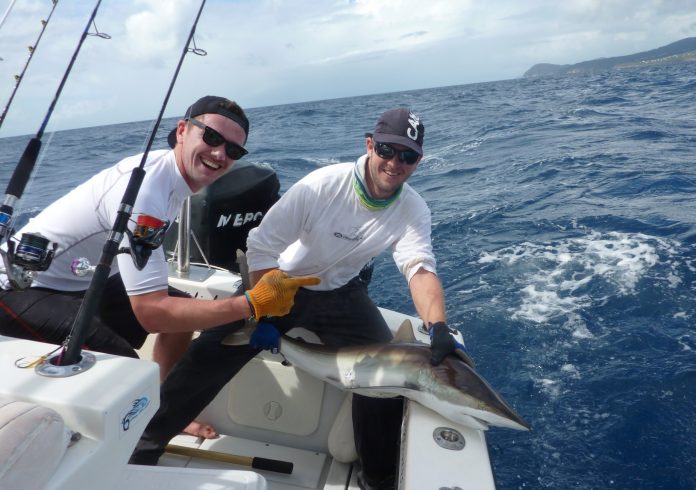 requins guadeloupe conseils découvrez nos conseils pratiques pour observer les requins en guadeloupe en toute sécurité. informez-vous sur les espèces présentes, les précautions à prendre et profitez de votre séjour sans risque !