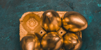 découvrez l'univers unique de hoffman nft : actualités, projets innovants et tendances du marché des tokens non fongibles. plongez dans l'art numérique et les collections exclusives hoffman nft.