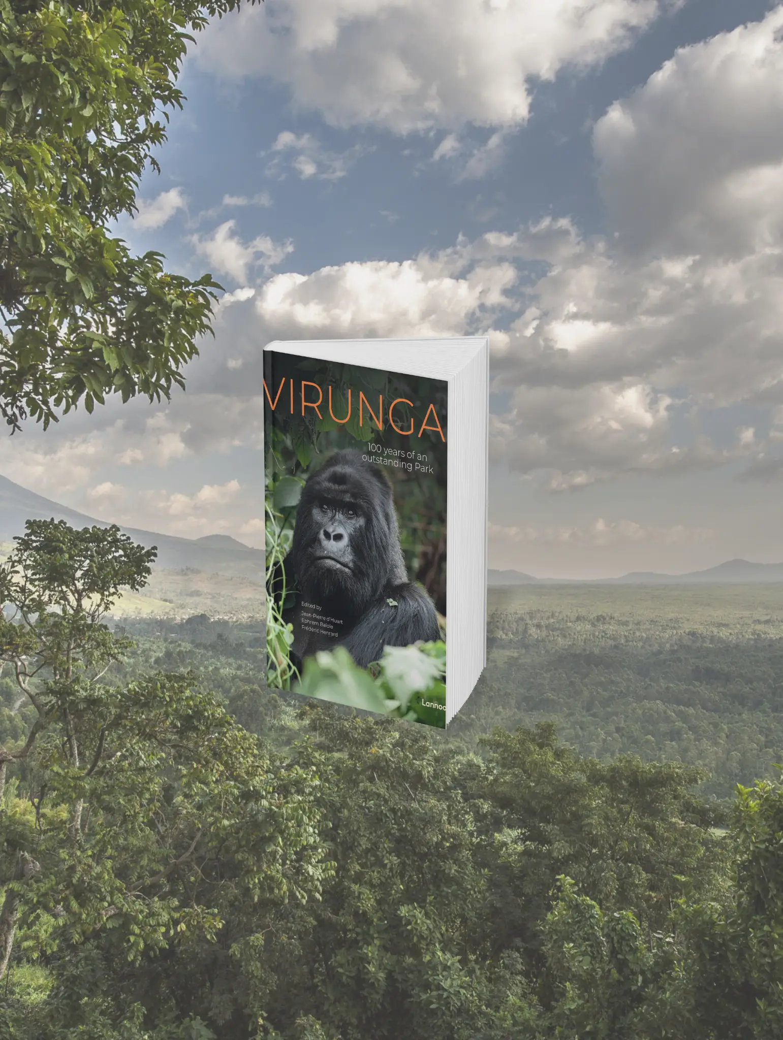 découvrez comment les nft peuvent contribuer à la protection des singes, en soutenant la conservation et en sensibilisant à la préservation de ces espèces menacées grâce aux innovations numériques.