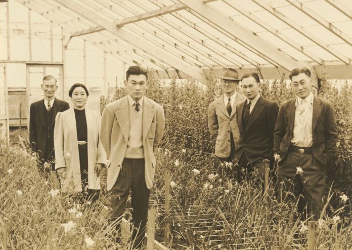 agriculteur de l'utah aide familles japonaises durant la wwii découvrez comment un agriculteur de l'utah a aidé des familles japonaises pendant la seconde guerre mondiale, offrant soutien et solidarité en des temps difficiles.