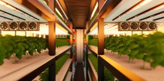 découvrez comment l’aquaponie urbaine révolutionne la culture durable en ville en 2026 : production locale de légumes et de poissons, respect de l’environnement et solutions innovantes pour une alimentation saine et responsable.