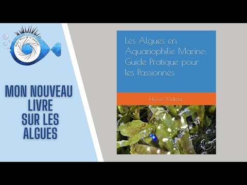 explorez les secrets des scrapbooks dédiés aux algues et découvrez des collections uniques qui révèlent la beauté cachée de ces végétaux marins.