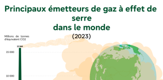 Print on demand in Europe : Les acteurs locaux incontournables pour réduire votre empreinte carbone découvrez les acteurs locaux du print on demand en europe qui innovent pour réduire l'empreinte carbone grâce à des solutions écoresponsables et durables.