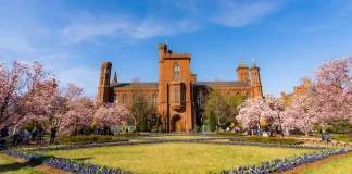 découvrez un événement exceptionnel au smithsonian, une occasion unique de plonger au cœur de l'histoire, de la culture et de la science grâce à des expositions inédites et des animations captivantes.