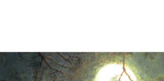 lunc et luna connaissent une hausse notable avant la décision attendue de do kwon, suscitant l'intérêt des investisseurs et la spéculation sur le marché des cryptomonnaies.