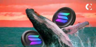 découvrez la nouvelle collection nft $whale lancée par whale.io sur la blockchain solana, une opportunité unique pour les passionnés de cryptomonnaies et d'art numérique.