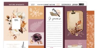 découvrez nos carnets créatifs et scrapbooks pour libérer votre imagination et immortaliser vos souvenirs avec style et originalité.