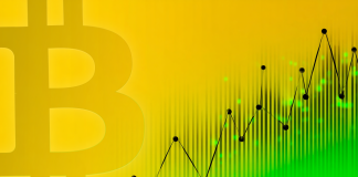 gemini annonce la fermeture de sa plateforme nifty gateway le 26 février, marquant la fin de ses services de marché nft.