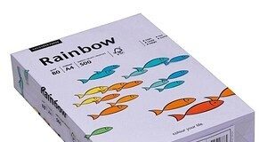 découvrez notre pack de 100 feuilles de papier a3 arc-en-ciel pastel 80gsm, idéal pour vos projets créatifs et impression de qualité. couleurs douces et format pratique.