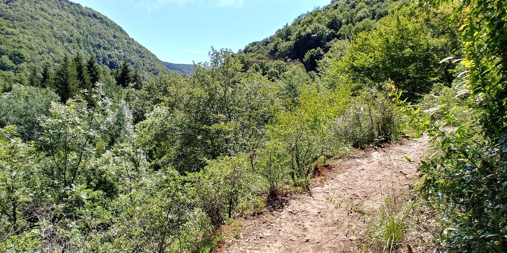 découvrez le sentier secret de la cascade de la brive, un parcours naturel enchanteur offrant paysages magnifiques et moments de tranquillité au cœur de la nature.