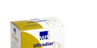 découvrez tout sur l'ultradiar pour chat : durée d'utilisation recommandée et conseils pratiques pour soulager votre animal efficacement.