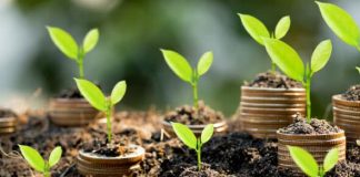 découvrez les insights de gary vaynerchuk sur les nft, la vérité derrière leur popularité et son expérience unique dans la gestion d'une équipe sportive.