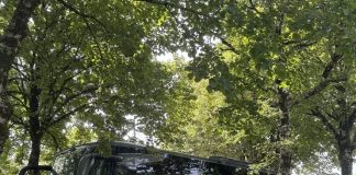 découvrez nos voyages en autocar confort pour 2024 : des trajets agréables et sécurisés pour explorer vos destinations préférées en toute sérénité.