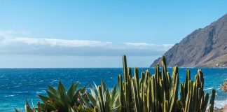 découvrez nos astuces et offres pour un voyage pas cher aux îles canaries cet hiver. profitez du soleil toute la saison à petit prix !